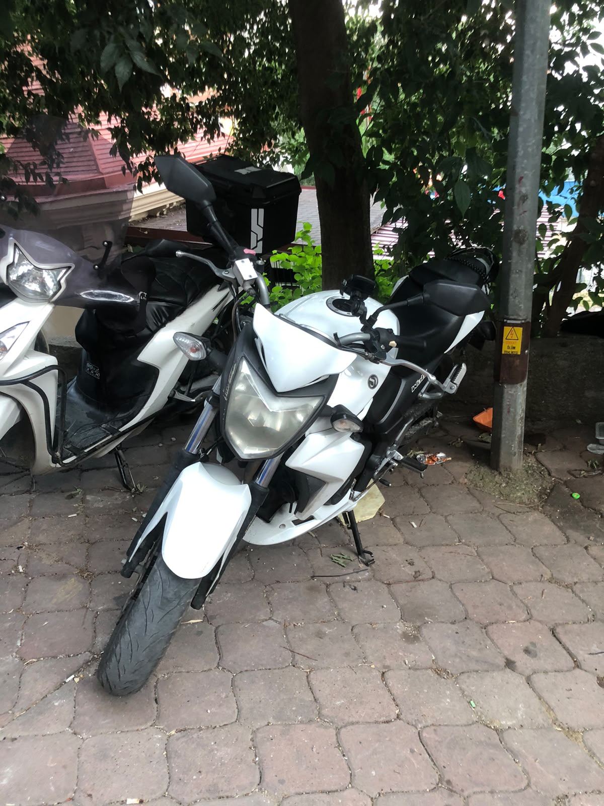 SYM WOLF 250 BAKIM